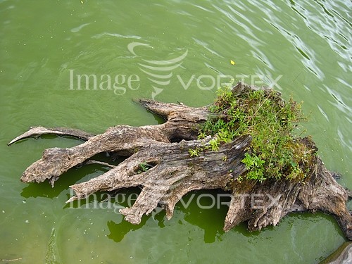 Nature / landscape royalty free stock image #758208492