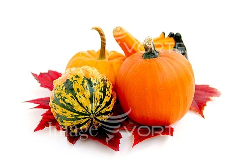 Holiday / gift royalty free stock image #759305987