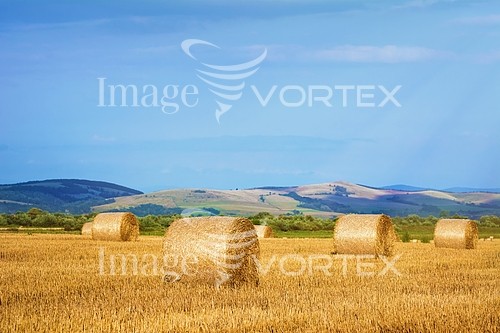 Industry / agriculture royalty free stock image #760914274