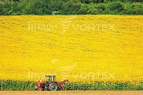 Industry / agriculture royalty free stock image #760866341