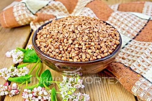 Food / drink royalty free stock image #763090493