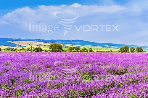 Industry / agriculture royalty free stock image #765387266