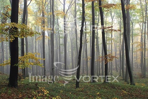 Nature / landscape royalty free stock image #765932694