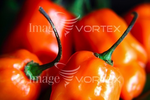 Food / drink royalty free stock image #766055537
