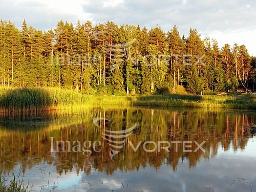 Nature / landscape royalty free stock image #772235395