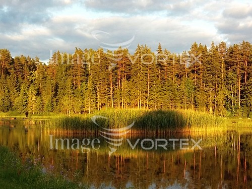 Nature / landscape royalty free stock image #772245352