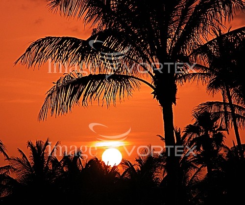 Sunset / sunrise royalty free stock image #777974398