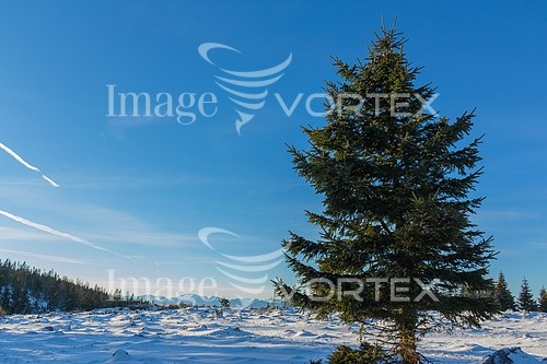 Nature / landscape royalty free stock image #779593151