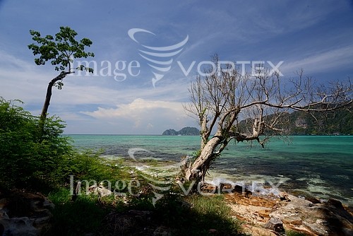 Travel royalty free stock image #784868289