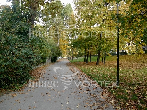 Park / outdoor royalty free stock image #784281650
