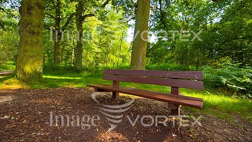 Park / outdoor royalty free stock image #789169153