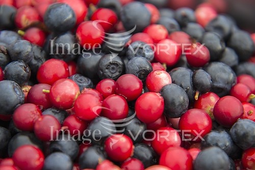 Food / drink royalty free stock image #790102070