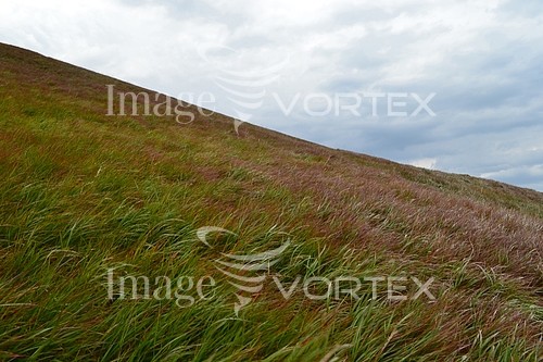 Nature / landscape royalty free stock image #791289625