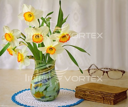 Flower royalty free stock image #791141459
