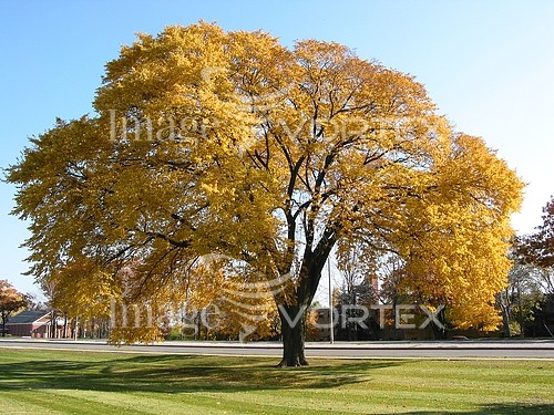 Park / outdoor royalty free stock image #794654337