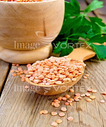 Food / drink royalty free stock image #805659437