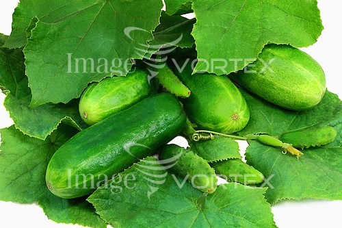 Industry / agriculture royalty free stock image #808854693