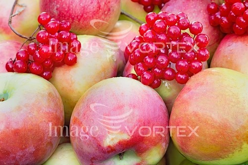 Food / drink royalty free stock image #810825194
