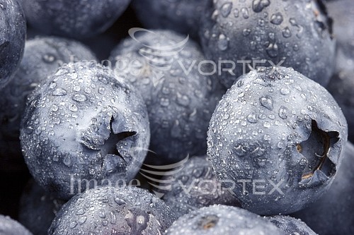 Food / drink royalty free stock image #817593130