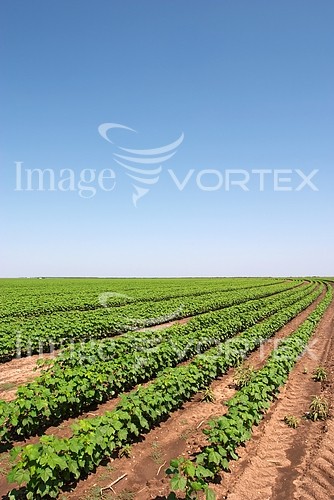 Industry / agriculture royalty free stock image #817648926