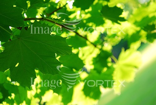 Nature / landscape royalty free stock image #820355658