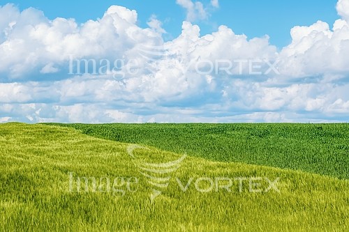Industry / agriculture royalty free stock image #821766739
