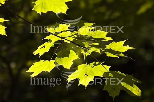 Nature / landscape royalty free stock image #824625598
