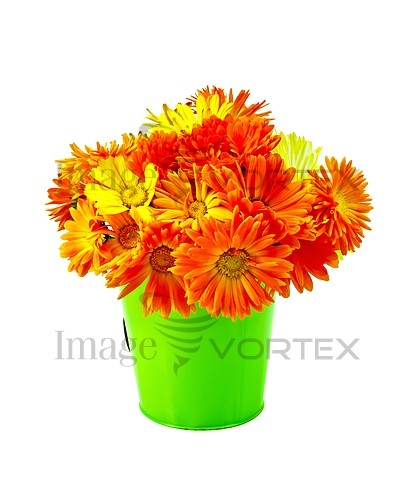 Flower royalty free stock image #825136368