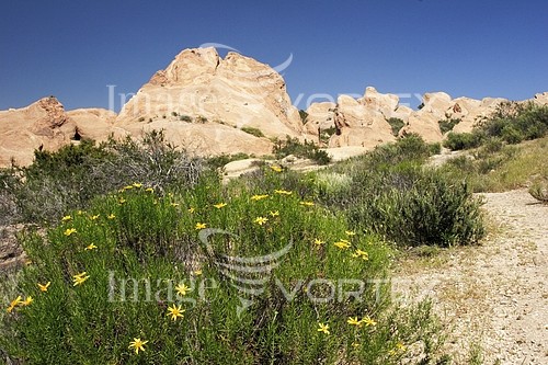 Nature / landscape royalty free stock image #828365684