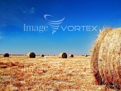 Industry / agriculture royalty free stock image #829961817