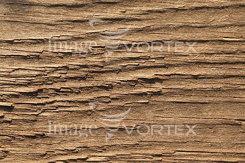 Background / texture royalty free stock image #831223666