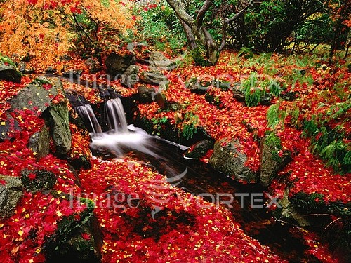 Nature / landscape royalty free stock image #835128346
