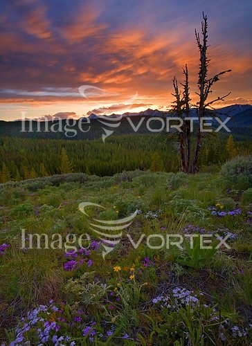 Nature / landscape royalty free stock image #842292230