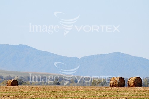 Industry / agriculture royalty free stock image #851145040