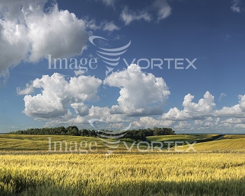 Nature / landscape royalty free stock image #854822089