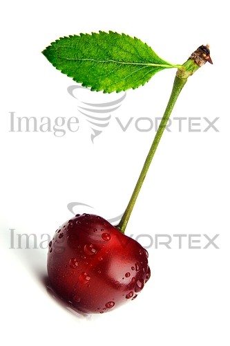 Food / drink royalty free stock image #864276956