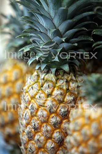 Food / drink royalty free stock image #868515080