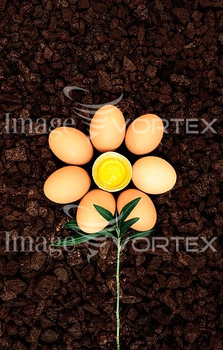 Food / drink royalty free stock image #871071998