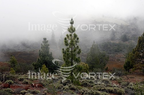 Nature / landscape royalty free stock image #876308034