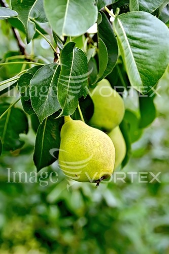 Industry / agriculture royalty free stock image #878700351