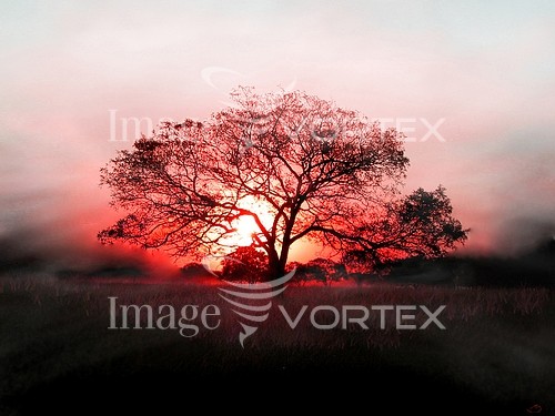 Nature / landscape royalty free stock image #879980315