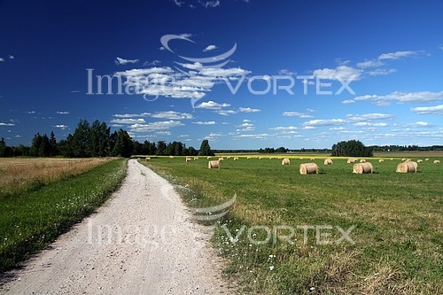 Industry / agriculture royalty free stock image #894797071