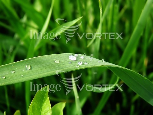 Nature / landscape royalty free stock image #895647622