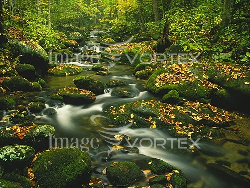 Nature / landscape royalty free stock image #896440435