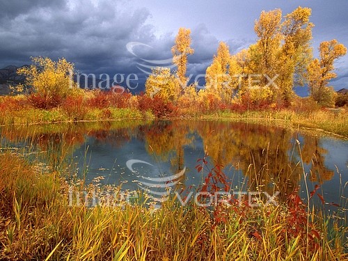 Nature / landscape royalty free stock image #896662405