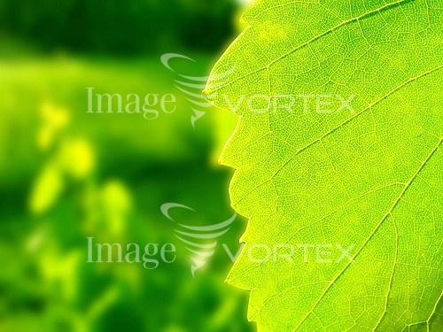 Nature / landscape royalty free stock image #896192974