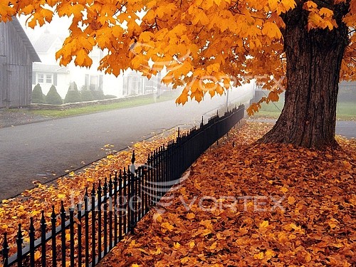 Park / outdoor royalty free stock image #896508856