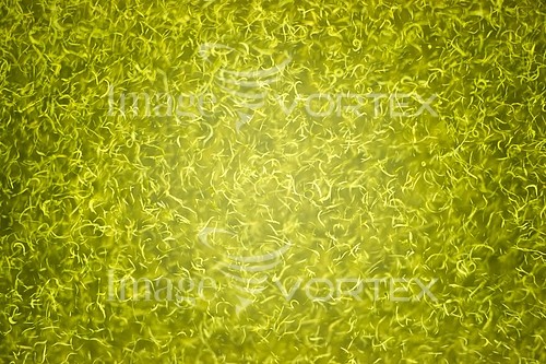 Background / texture royalty free stock image #916283448