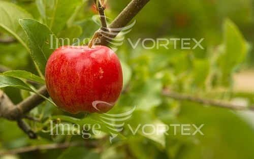 Industry / agriculture royalty free stock image #916108068