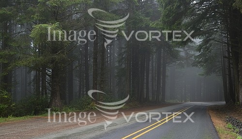 Park / outdoor royalty free stock image #920792298